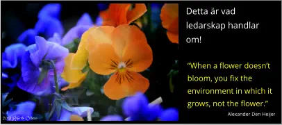 Detta är vad ledarskap handlar om! “When a flower doesn’t bloom, you fix the environment in which it grows, not the flower.”  Alexander Den Heijer 2018 Roberto Citterio