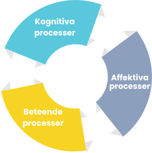 Beteende processer Affektiva processer Kognitiva processer