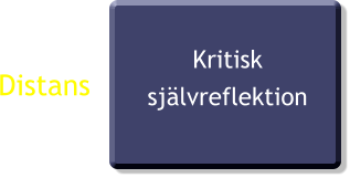 Distans Kritisk självreflektion