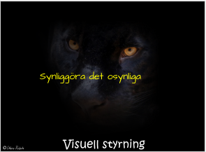 Visuell styrning Synliggöra det osynliga